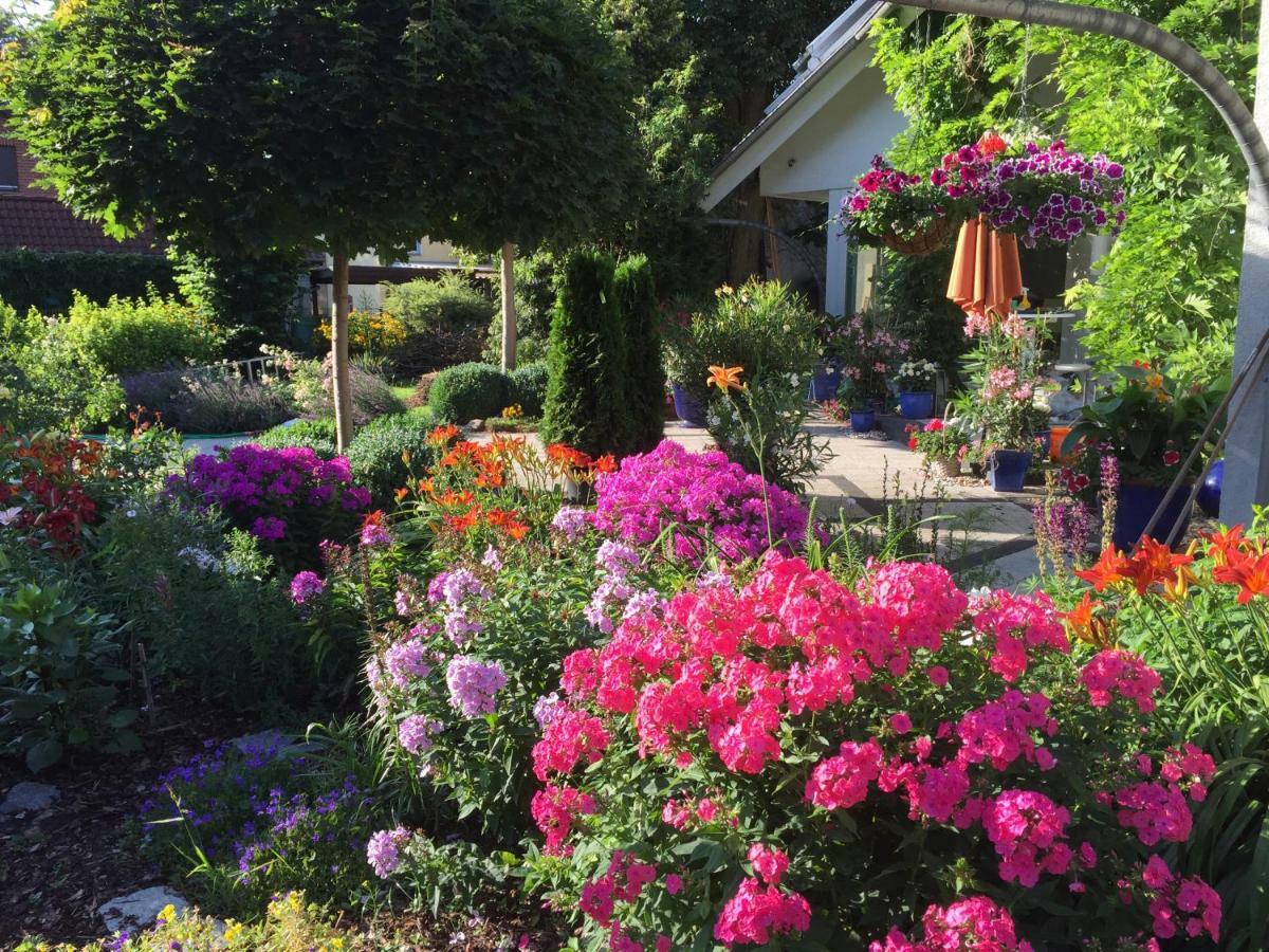 Villa "Auszeit" Hohen Neuendorf Exteriér fotografie